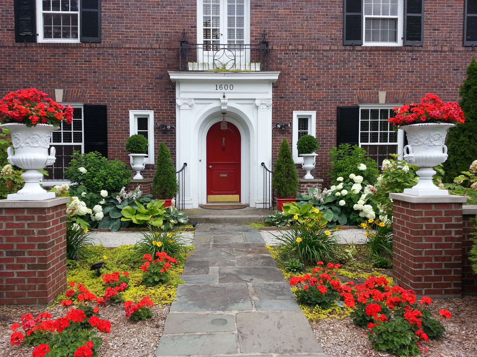 Front of house with red geraniums