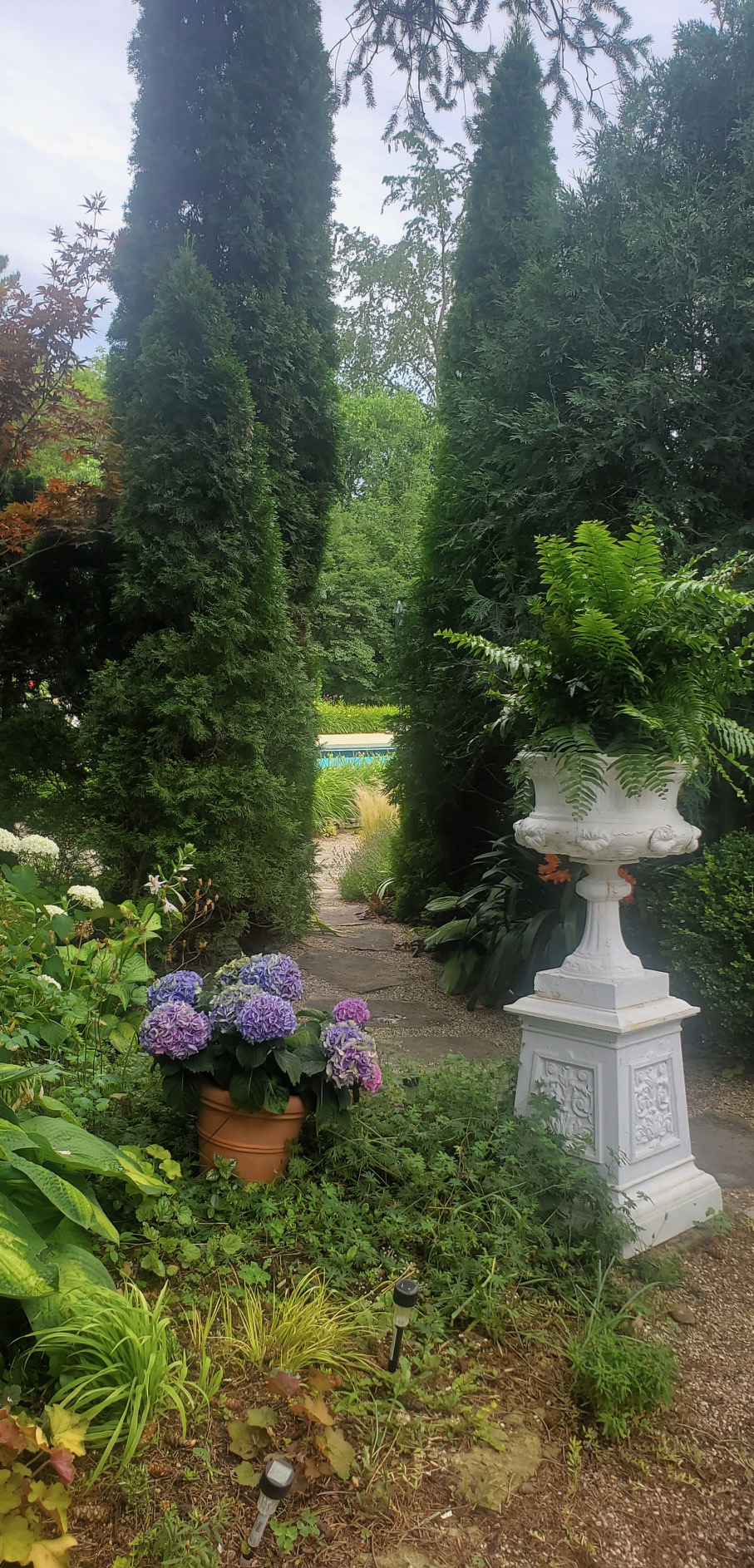 Garden urn with ferns and arborvitae