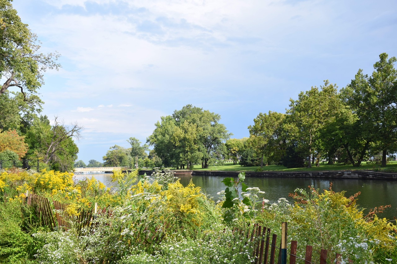 Lincoln Park