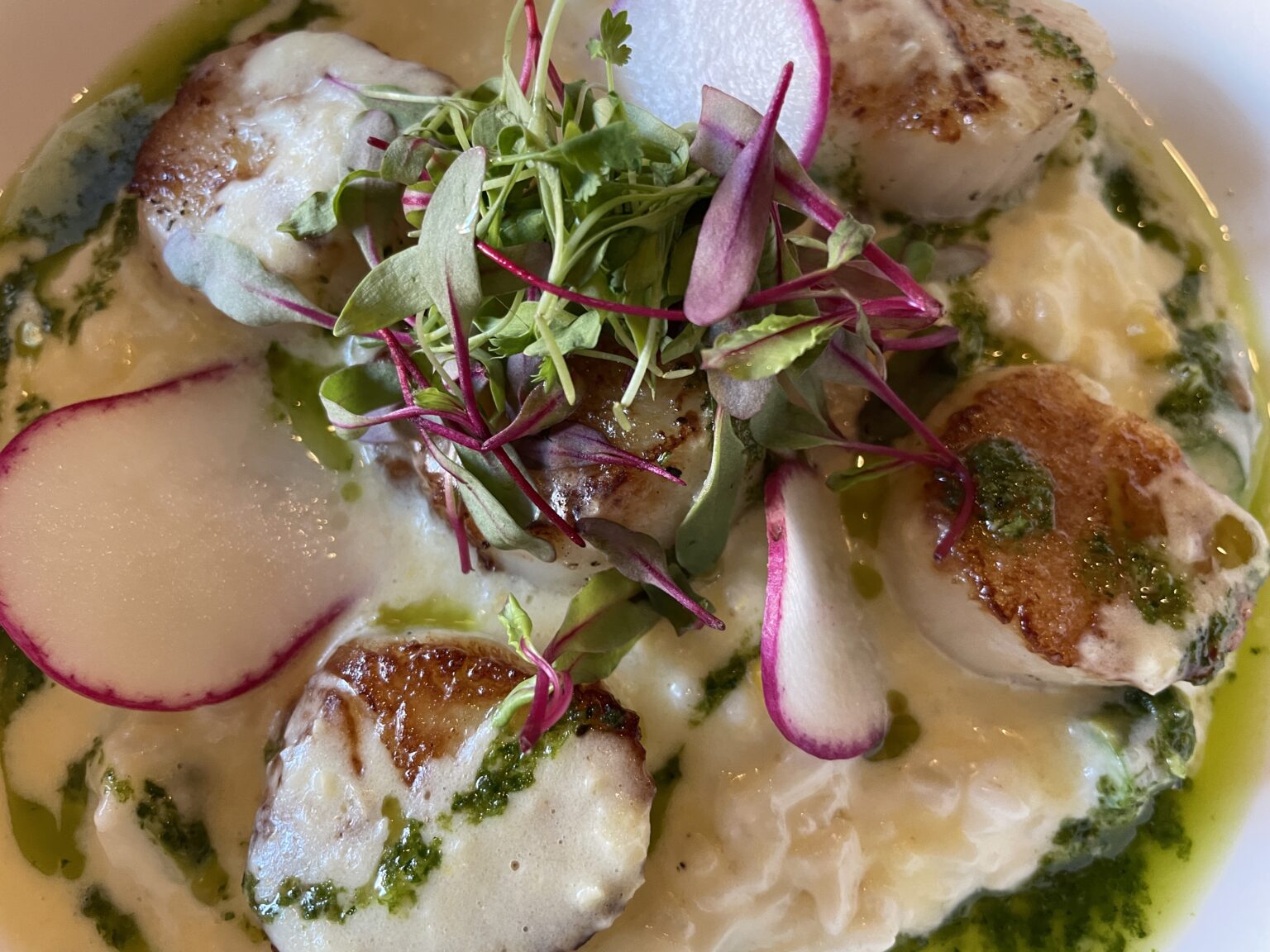 Sea scallops at Willow Room.