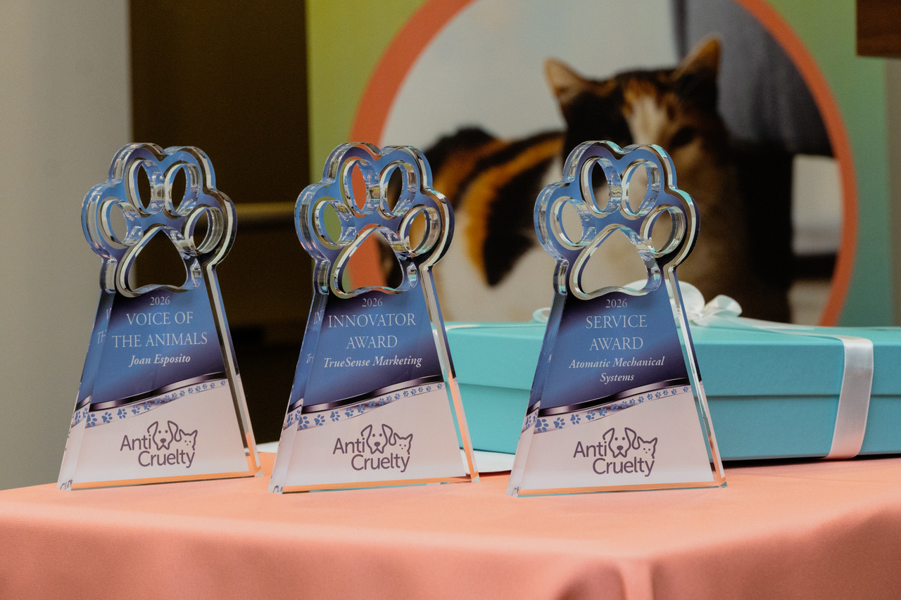 The awards await presentation at Anti-Cruelty's 127th anniversary celebration