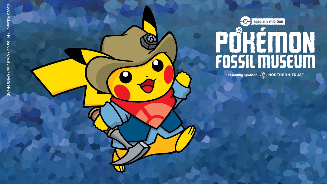 Pokémon Fossil Museum — Special Exhibition