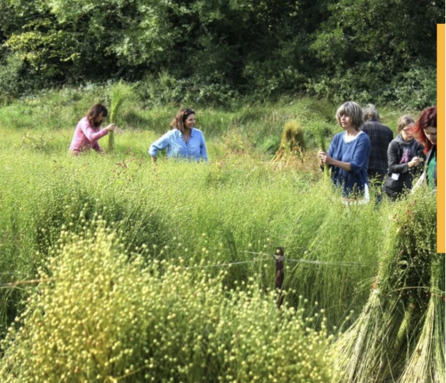 Home loom weaving linen