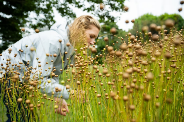 Linen exhibition or museum