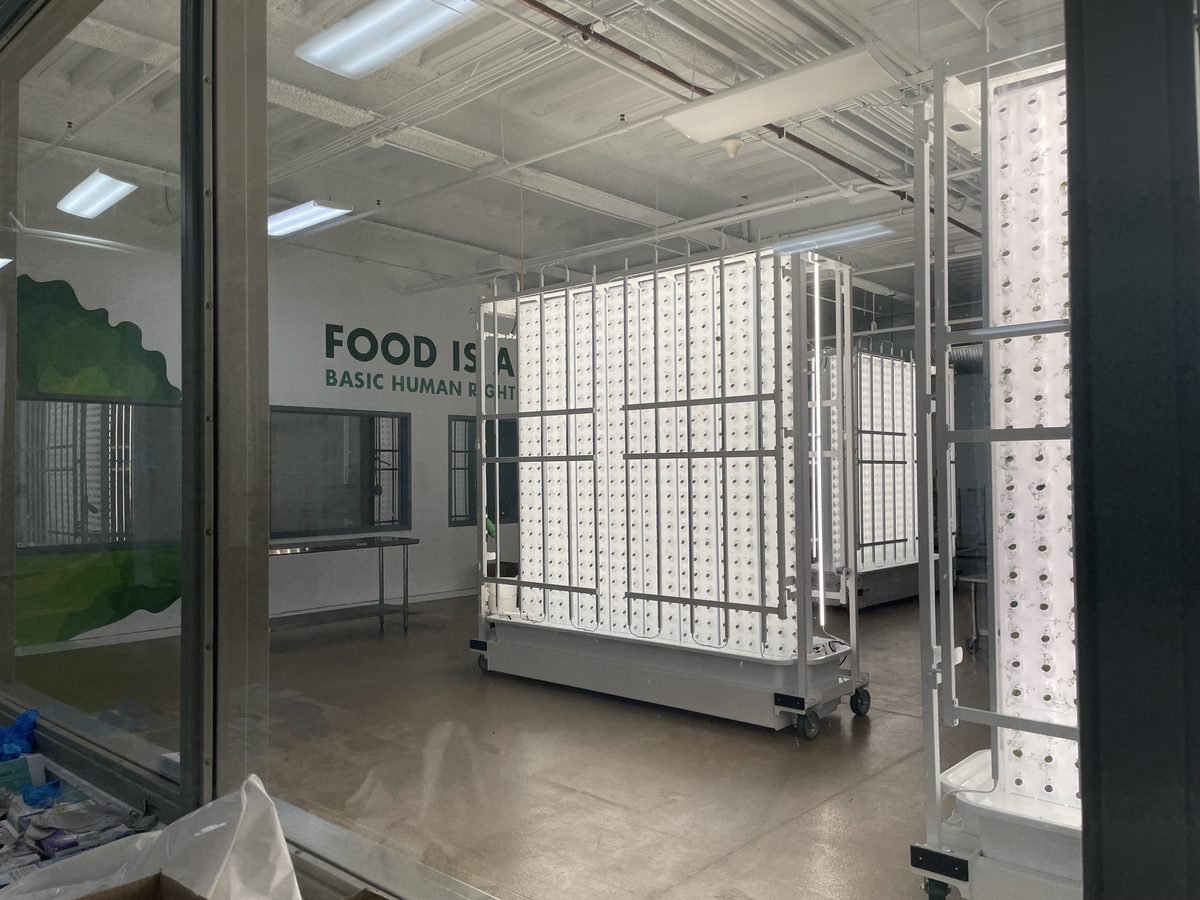 Hydroponics lab before sprouting