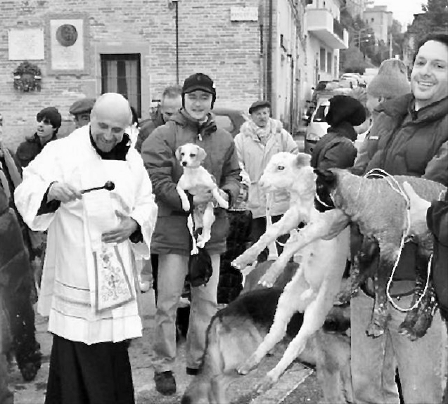 Blessing of the animals, St. Anthony's Day