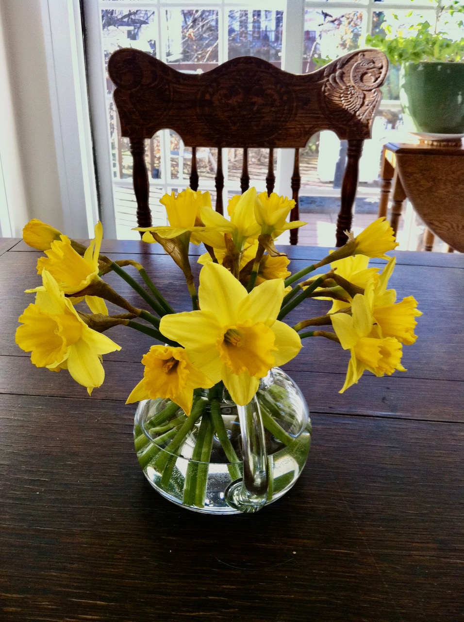 Daffodils