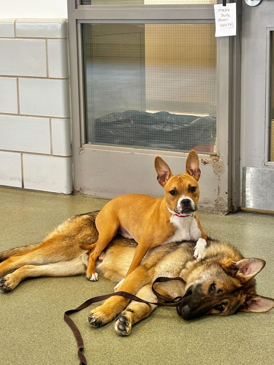 A Bonded Pair