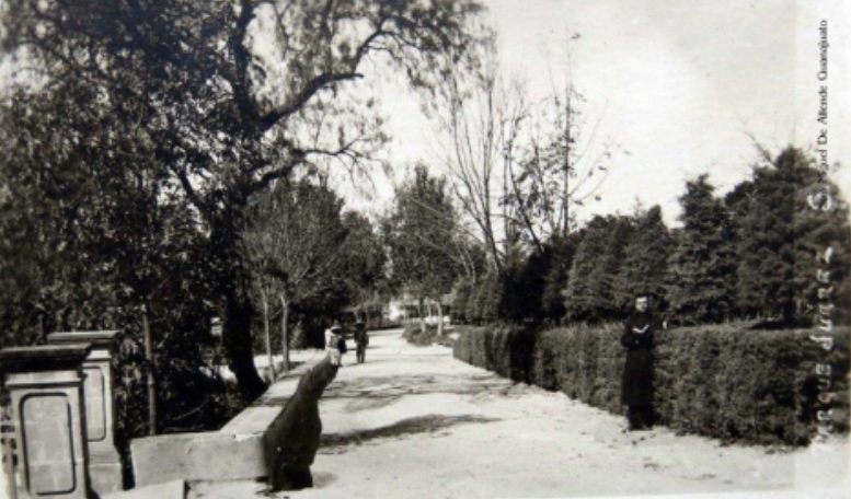Parque Benito Juarez