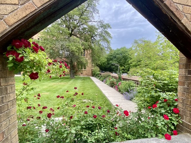 The walled garden at St. Thomas the Apostle Church