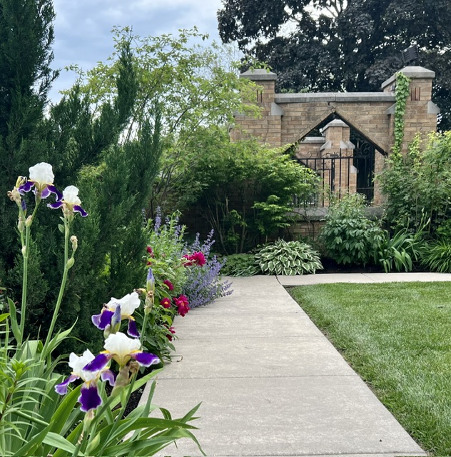 Heirloom Logansport Iris