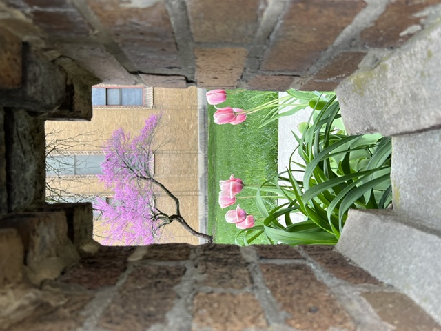Spring view through the wall from the public sidewalk