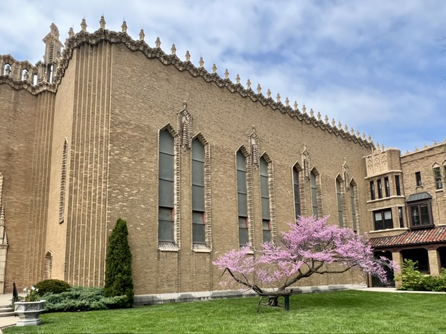 Ancient red bud tree as focal point