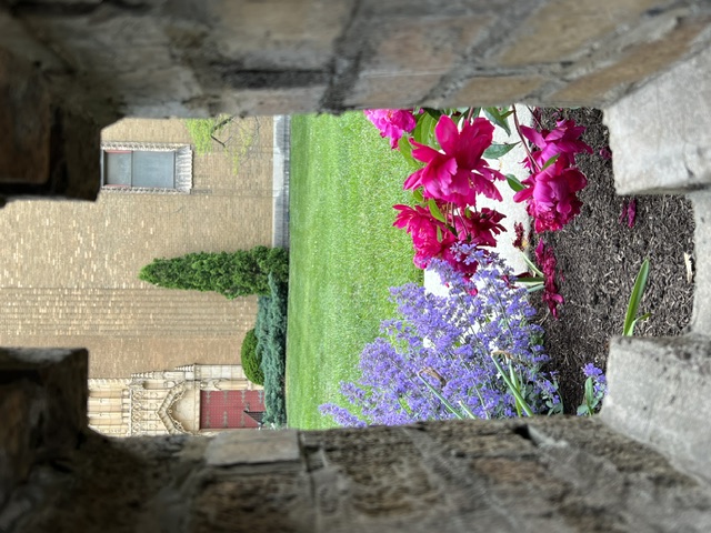 Another peek-a-boo garden view from the sidewalk
