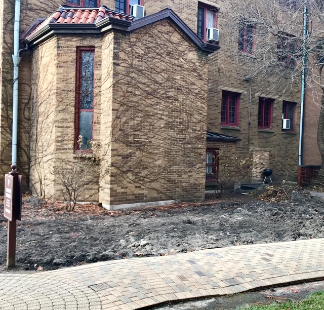 The before view of the new Contemplation Garden