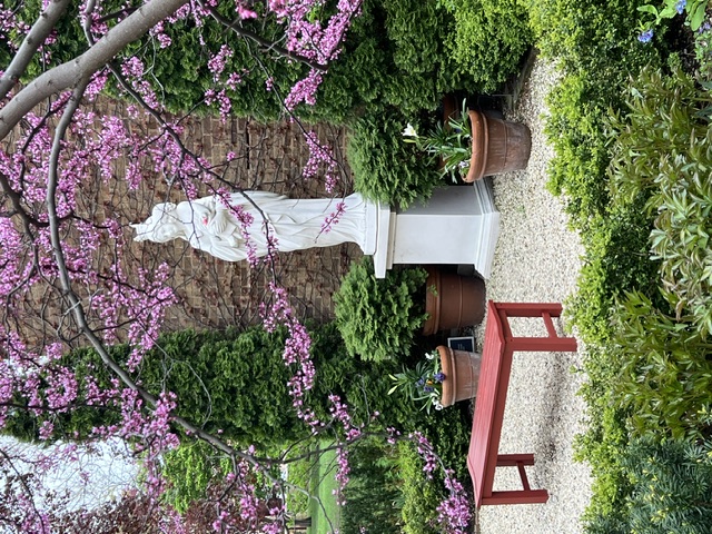 Another view of The Contemplation Garden showing garden bench