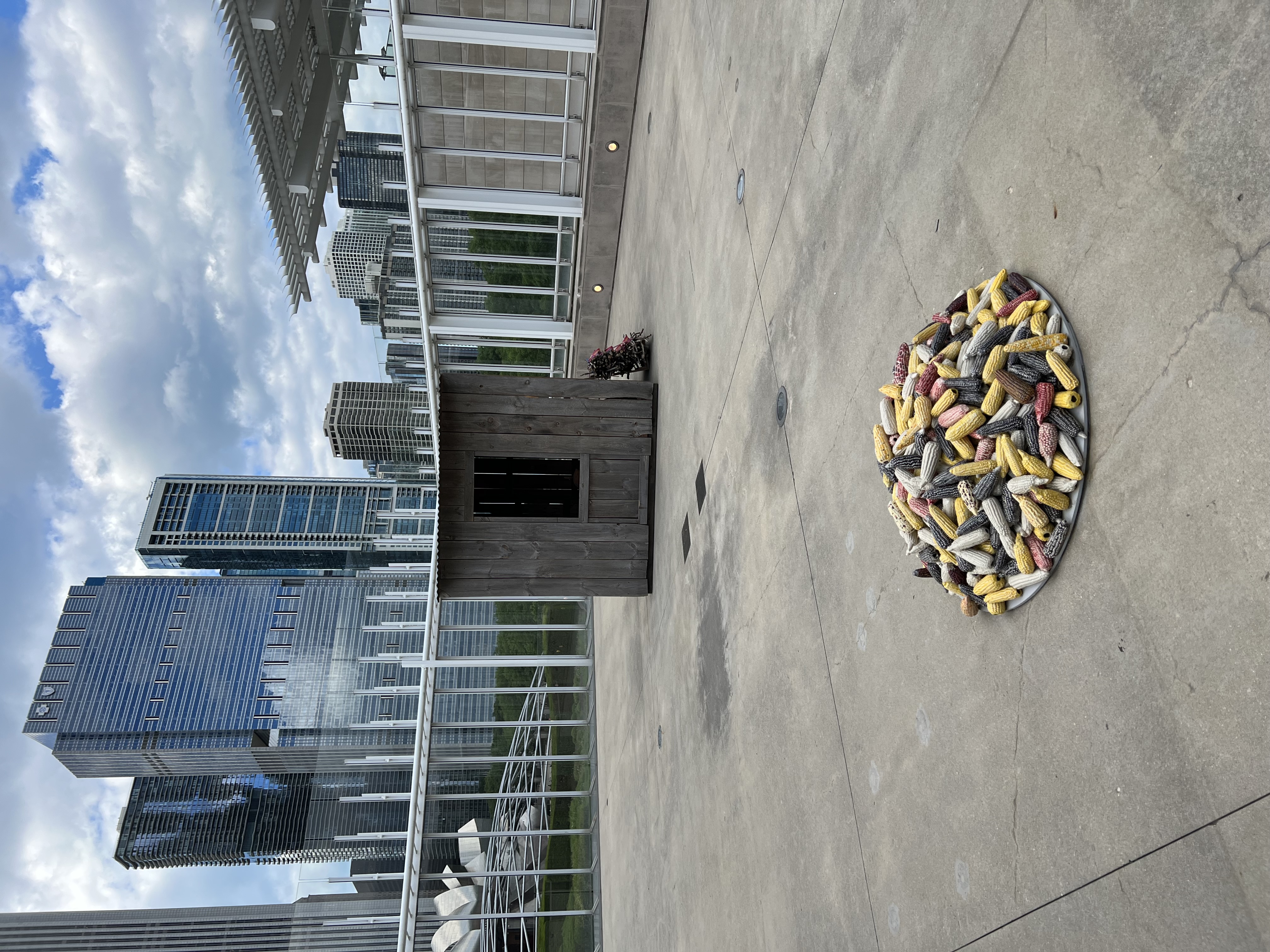 Corn Highlights — Edgar Calel at the Art Institute