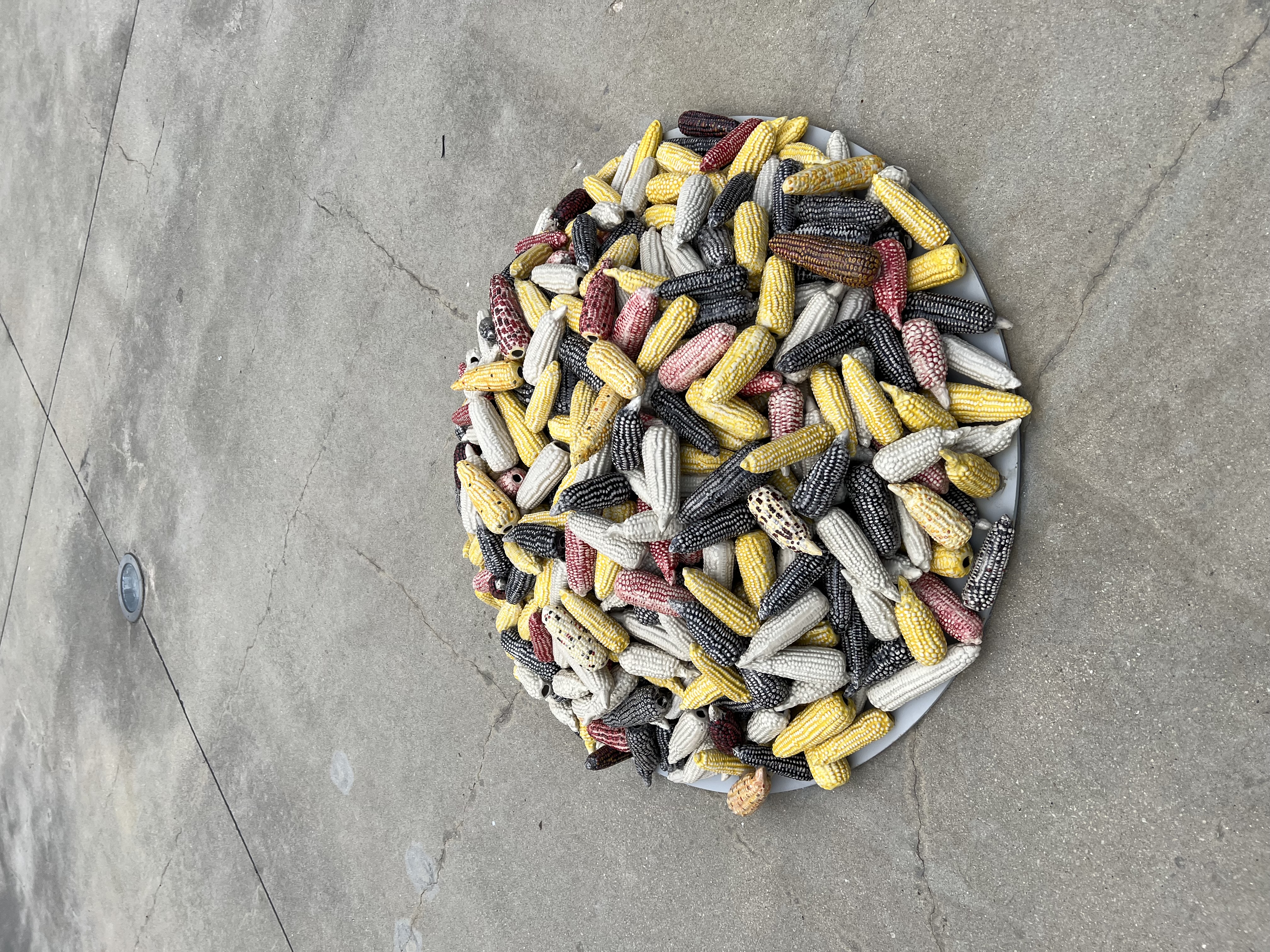 Installation view of Edgar Calel: Corn Mountain of Life at the Art Institute of Chicago