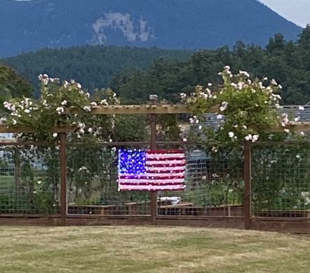 Fireworks over the Puget Sound islands