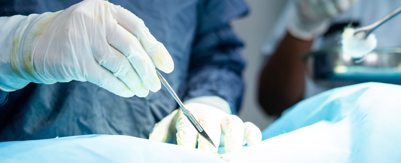 A surgeon's hands