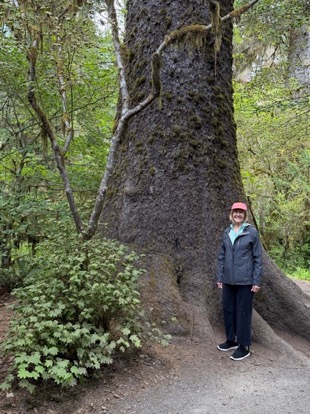 Entrance to the Moss Trail