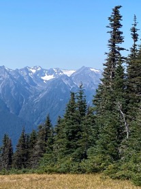 Mountain view from Hurricane Ridge roadside