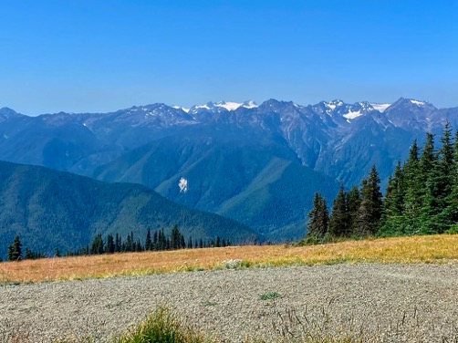Hurricane Ridge view