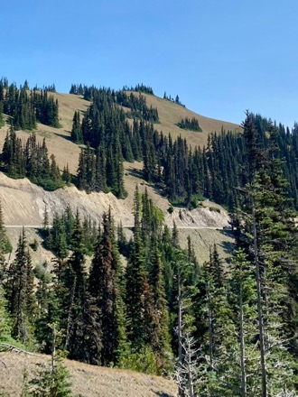 Hurricane Ridge view