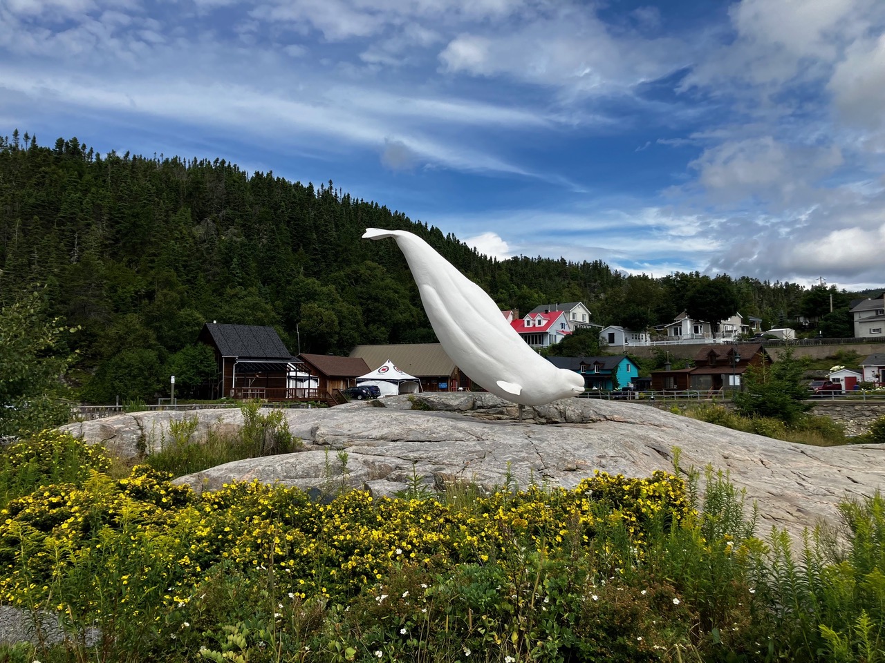 A white whale sculpture overlooking the village