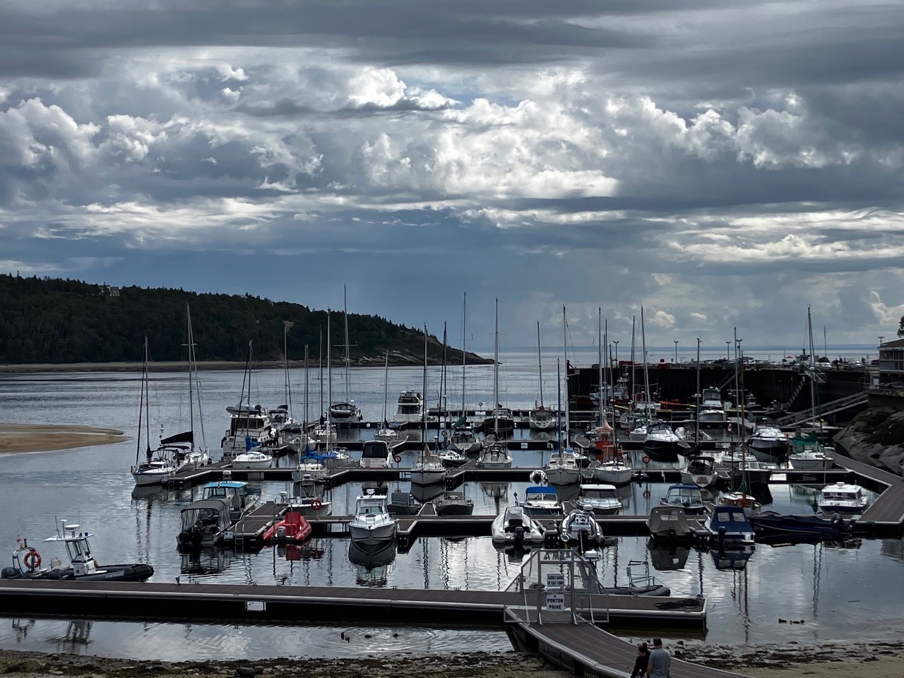 Boats docked in the marina