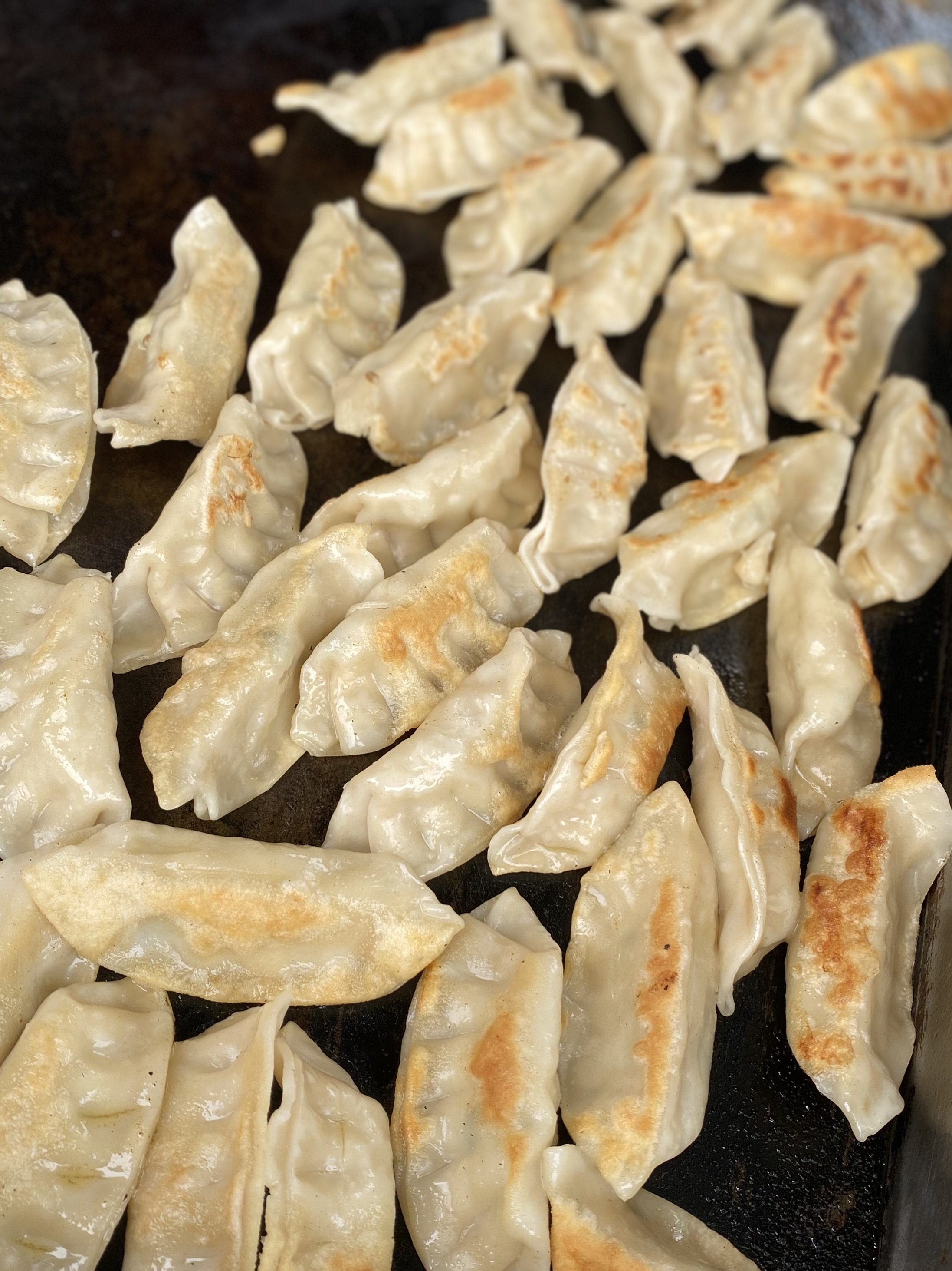Potstickers warmed on a griddle